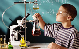 Организация исследовательской работы школьников по химии в условиях реализации ФГОС